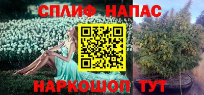 гашишное масло Моздок