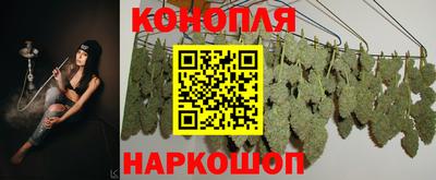 mdpv Можайск