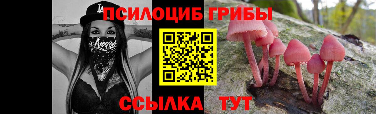 Сосновый Бор  хочу наркоту  Вход с VPN  Псилоцибиновые грибы Magic Shrooms 